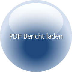 PDF Bericht laden